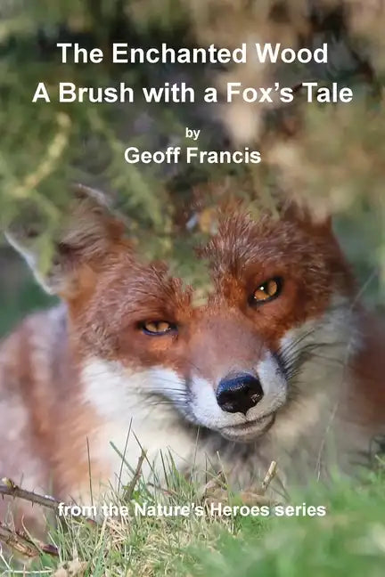 Enchanted Wood - Brush of a Fox's Tale - Paperback