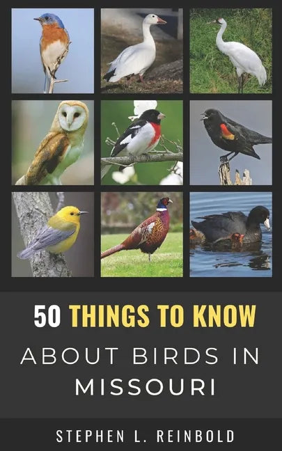 50 Things to Know About Birds in Missouri: Birds to Watch in the Show Me State - Paperback