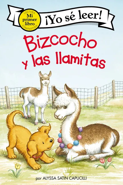 Bizcocho Y Las Llamitas: Biscuit and the Little Llamas (Spanish Edition) - Paperback