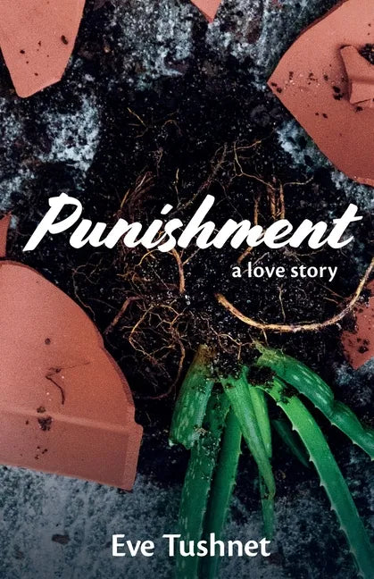 Punishment: A Love Story - Paperback