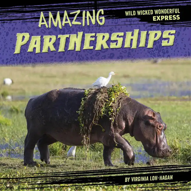 Amazing Partnerships - Paperback