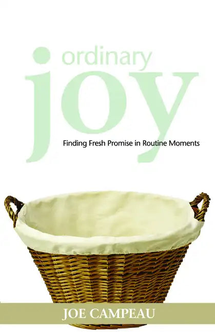 Ordinary Joy: Finding Fresh Promise in Routine Moments - Paperback