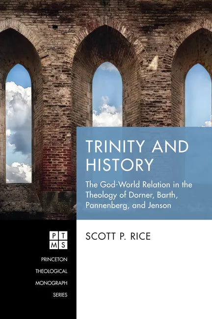 Trinity and History: The God-World Relation in the Theology of Dorner, Barth, Pannenberg, and Jenson - Hardcover