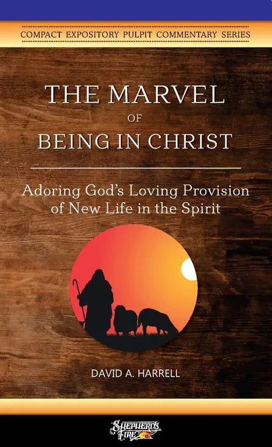 The Marvel of Being in Christ: Adoring God's Loving Provision of New Life in the Spirit - Paperback