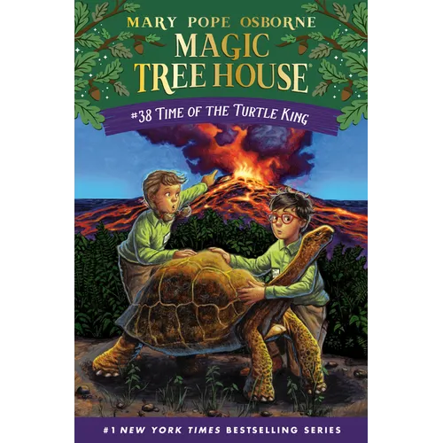 Time of the Turtle King - Paperback
