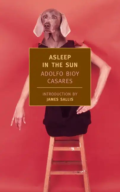 Asleep in the Sun - Paperback