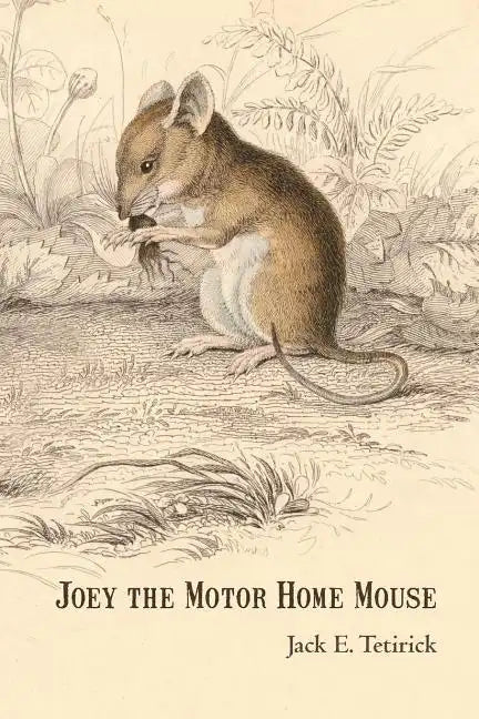 Joey the Motor Home Mouse - Paperback