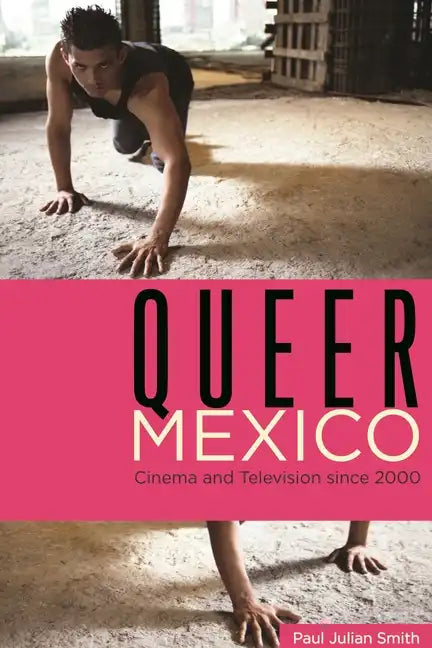 Queer Mexico: Cinema and Television Since 2000 - Paperback