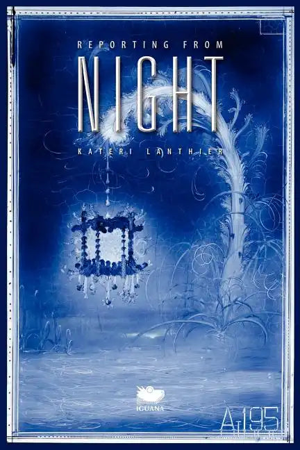 Reporting from Night - Paperback