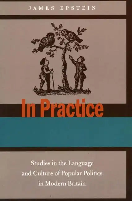In Practice: Studies in the Language and Culture of Popular Politics in Modern Britain - Paperback