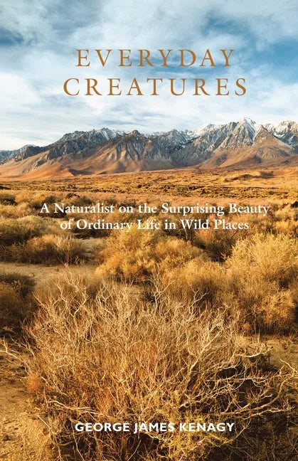 Everyday Creatures: A Naturalist on the Surprising Beauty of Ordinary Life in Wild Places - Paperback