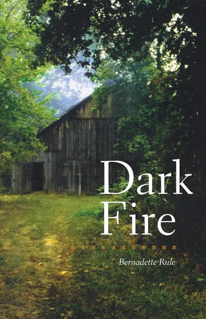 Dark Fire - Paperback