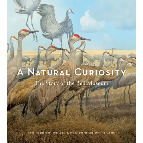 A Natural Curiosity: The Story of the Bell Museum - Hardcover