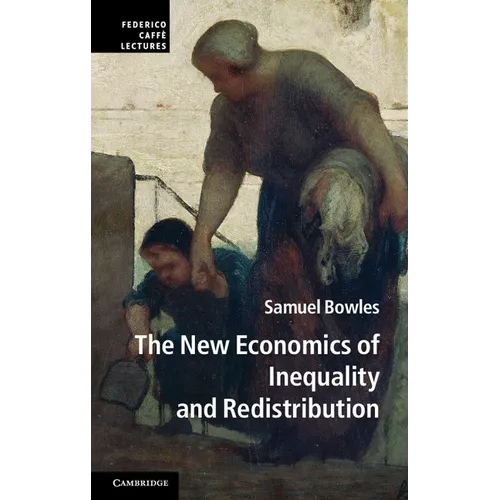 The New Economics of Inequality and Redistribution - Paperback