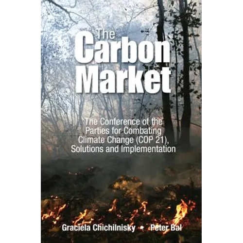 Reversing Climate Change - Paperback