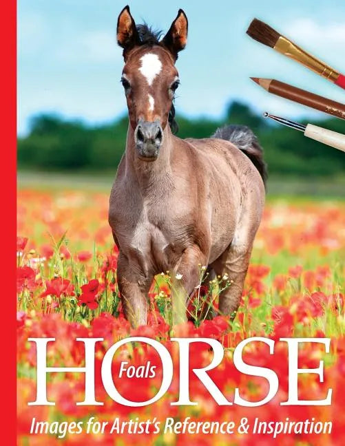 Foals: Horse Images for Artist's Reference and Inspiration - Paperback