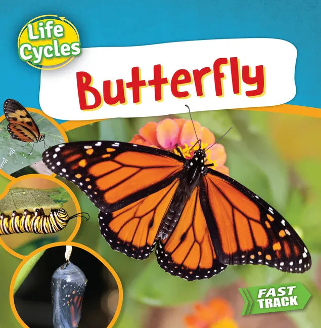 Butterfly - Paperback