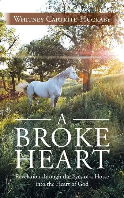 A Broke Heart: Revelation Through the Eyes of a Horse Into the Heart of God - Paperback