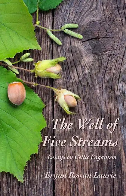 The Well of Five Streams - Paperback