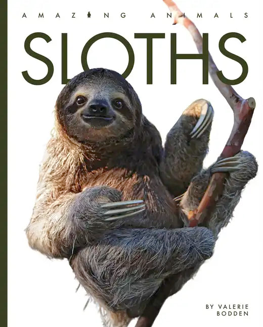 Sloths - Paperback