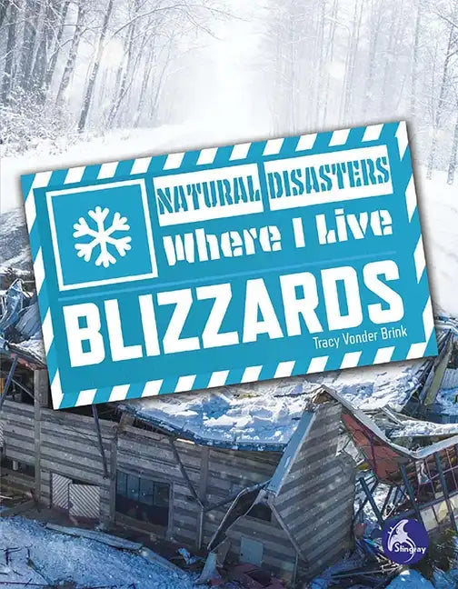 Blizzards - Paperback