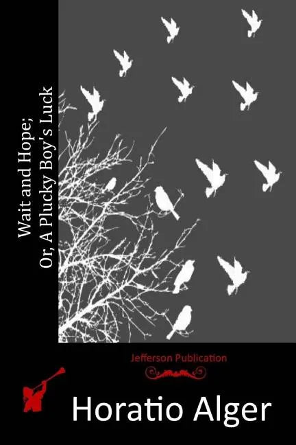 Wait and Hope; Or, A Plucky Boy's Luck - Paperback