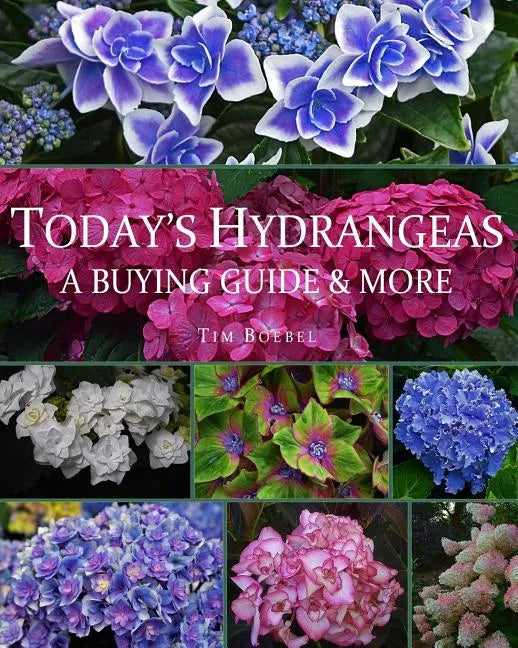 Today's Hydrangeas: A Buying Guide & More - Paperback