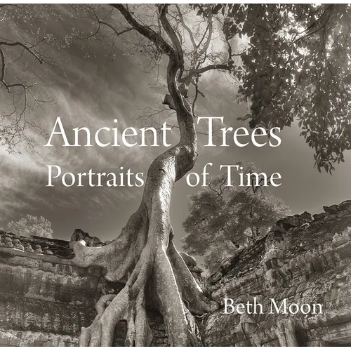 Ancient Trees: Portraits of Time - Hardcover
