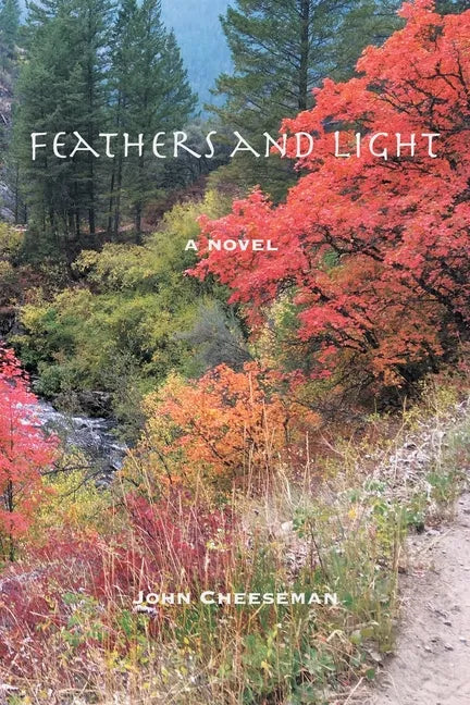 Feathers and Light - Paperback