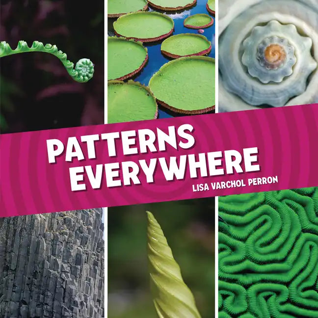 Patterns Everywhere - Library Binding