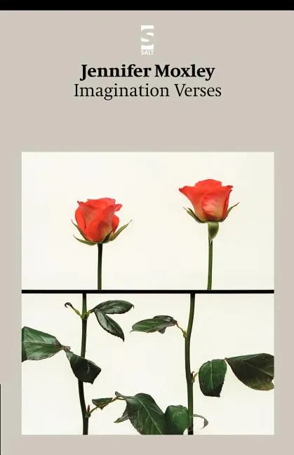 Imagination Verses - Paperback