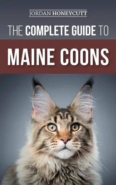 The Complete Guide to Maine Coons: Finding, Preparing for, Feeding, Training, Socializing, Grooming, and Loving Your New Maine Coon Cat - Hardcover