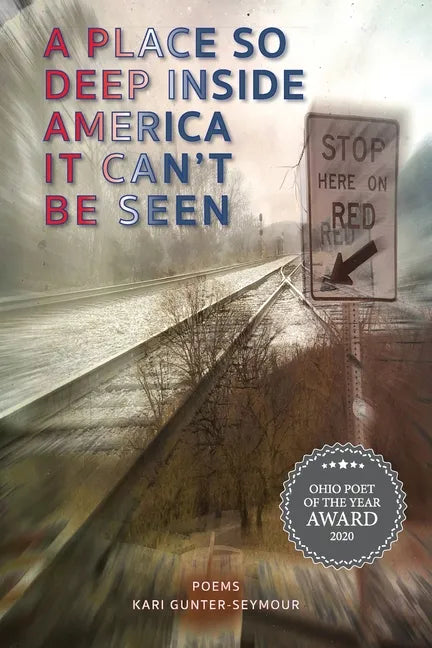 A Place So Deep Inside America It Can't Be Seen: Poems - Paperback