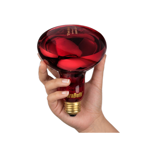 TheraBulb 150W Near Infrared Bulb