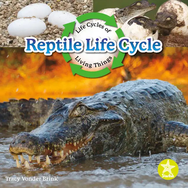 Reptile Life Cycle - Paperback