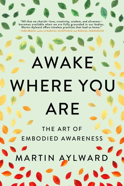 Awake Where You Are: The Art of Embodied Awareness - Paperback