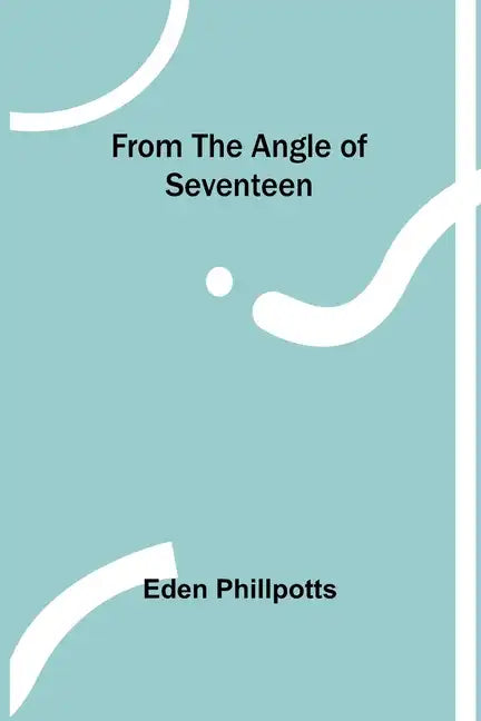 From the Angle of Seventeen - Paperback