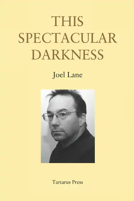 This Spectacular Darkness: Critical Essays - Paperback