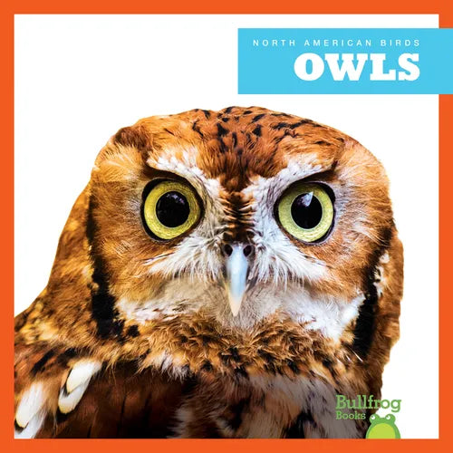 Owls - Paperback