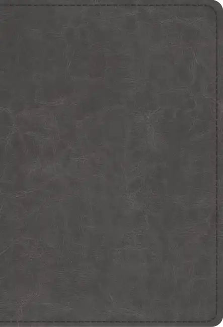 Student Study Bible-ESV - Imitation Leather