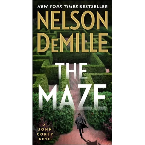 The Maze - Paperback