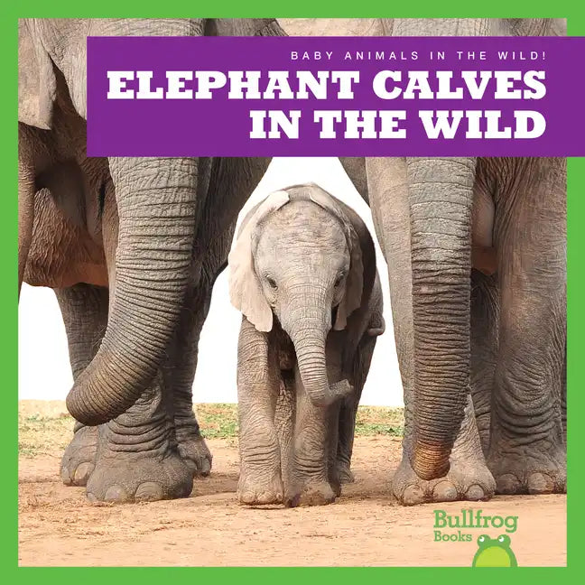 Elephant Calves in the Wild - Library Binding