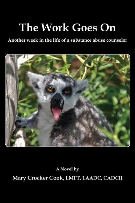 The Work Goes On. Another Week in the Life of a Substance Abuse Counselor - Paperback
