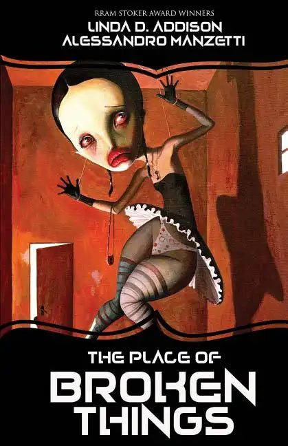 The Place of Broken Things - Paperback
