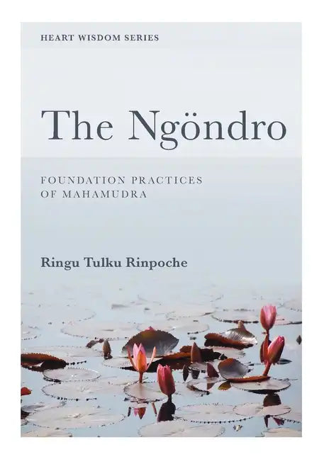 The Ngöndro: Foundation practices of Mahamudra - Paperback