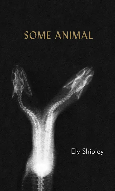 Some Animal - Paperback
