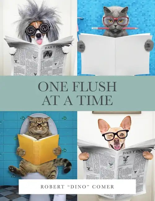 One Flush at a Time - Paperback