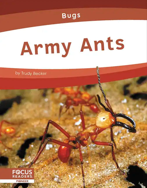 Army Ants - Library Binding