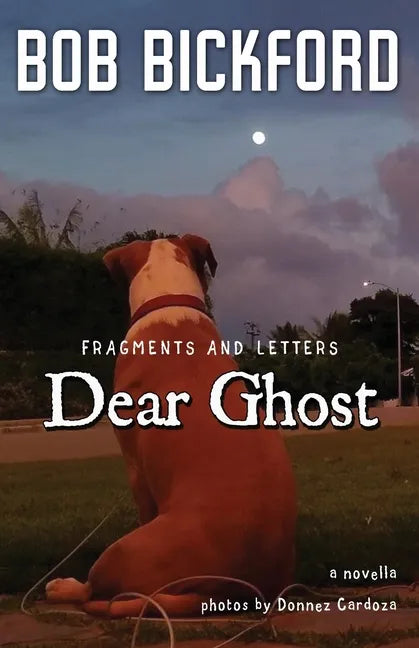 Dear Ghost: Fragments and Letters - Paperback