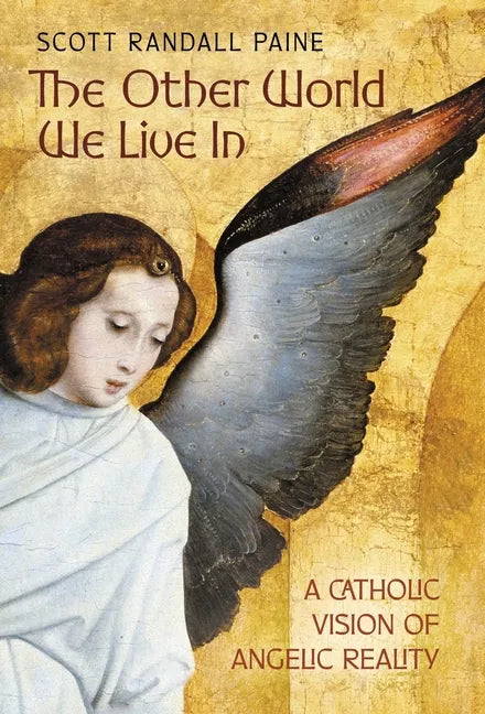 The Other World We Live In: A Catholic Vision of Angelic Reality - Hardcover